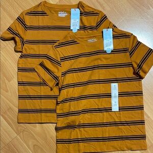 2-Pack Boys Striped Brown T-Shirts Medium
